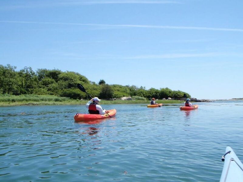 Biddeford Pool: Half Day Kayak or SUP Rental - FAQ
