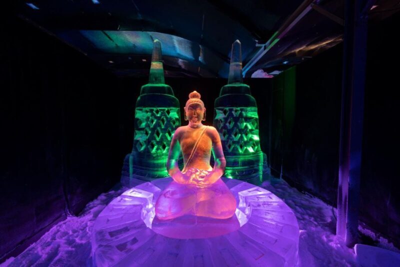 Biddinghuizen: Dutch Ice Sculpture Festival Entry Ticket - Is It Worth the Price?