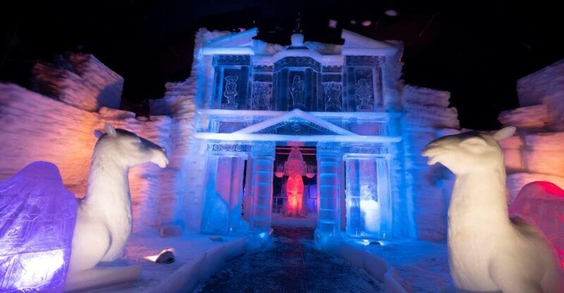 Biddinghuizen: Dutch Ice Sculpture Festival Entry Ticket - Who Will Love This?