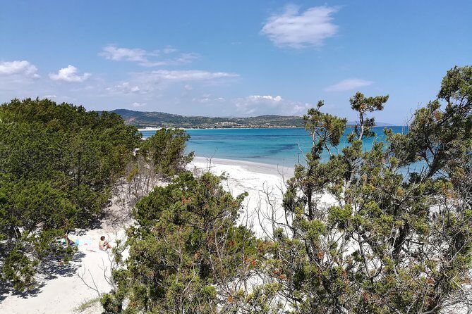 Biderosa and Capo Comino Beach Tour - Key Points