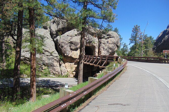 Big 3 Must See Black Hills 80 Mile Mini Road Trip - Real Traveler Feedback: What People Are Saying