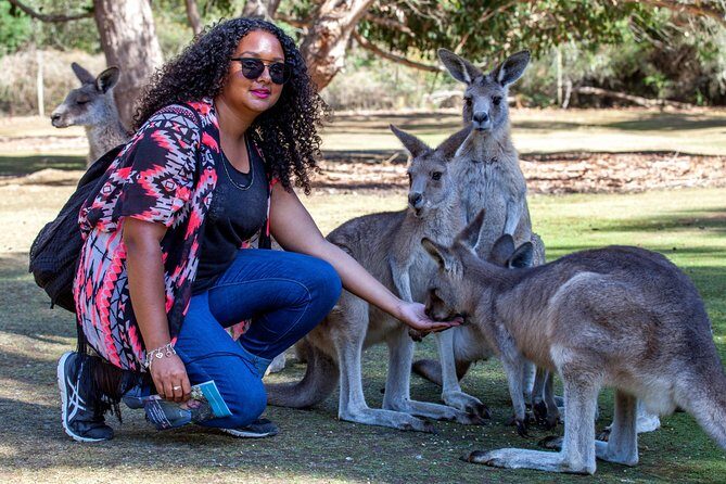 BIG 3 Tasmania - Port Arthur, Wineglass Bay, Cradle Mountain - Final Thoughts