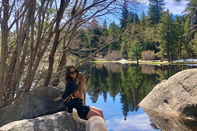 Big Bear Jeep off-road tour with Hike to Bluff Lake Reserve - The Experience from Review Insights