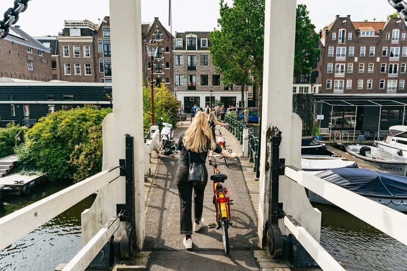 Big Bike tour Amsterdam - See all in 3 unforgettable hours - Key Points