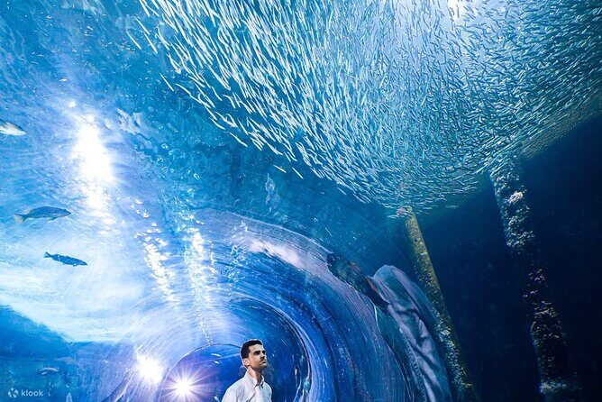 Big Bus San Francisco: Hop-on Hop-off Sightseeing Tour - The Practicalities