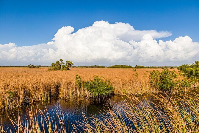 Big Cypress National Preserve Audio Tour Guide - Final Thoughts