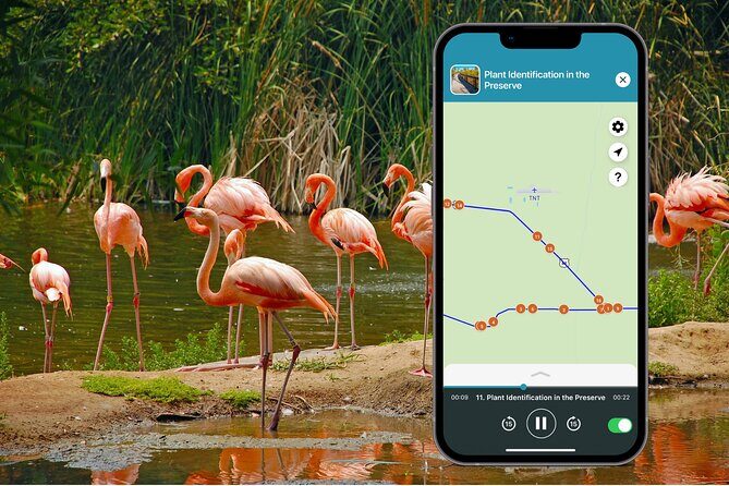 Big Cypress National Preserve Audio Tour Guide - FAQs