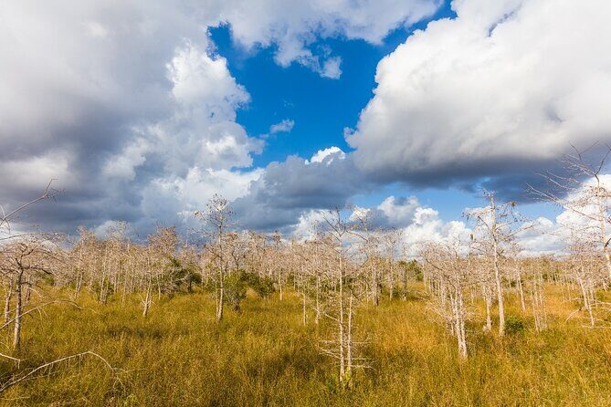 Big Cypress National Preserve Self Guided Driving Audio Tour - FAQs