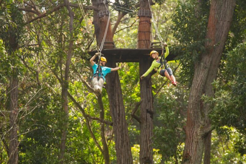 Big Island: 3-Hour Kohala Canopy Zipline Adventure - Practical Details and Tips