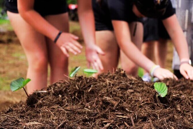 Big Island Family Off Road Farm Adventure - Who Is This Tour Best For?