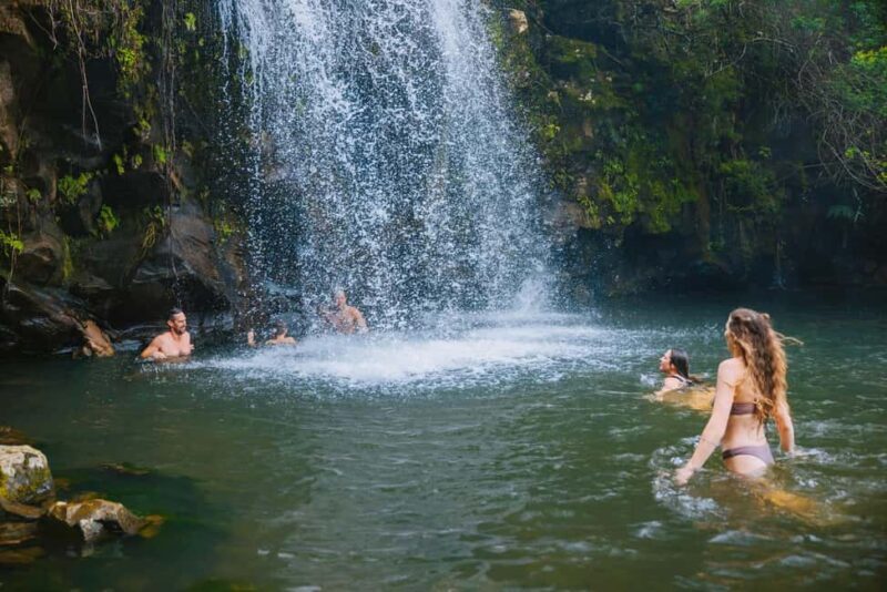 Big Island: Full Day Adventure Tour of the Kohala Waterfalls - What to Expect on the Tour