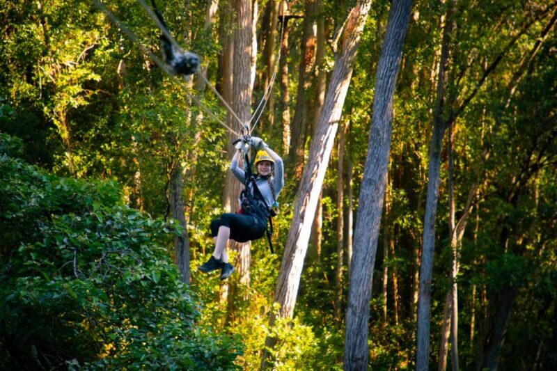 Big Island: Full-Day Kohala Zipline and Waterfall Adventure - An Overview of the Tour Experience