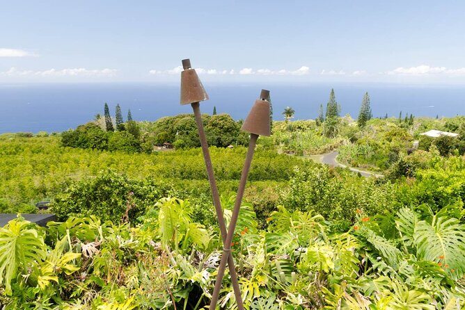 Big Island Hawaii Self-Guided Driving Tour - Final Thoughts: Is It Right for You?