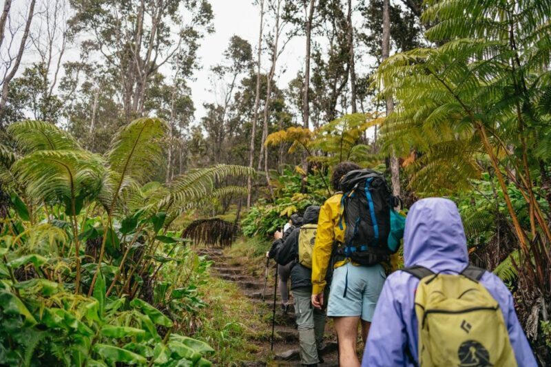 Big Island: Hawai'i Volcanoes National Park Guided Hike - What to Expect on the Tour