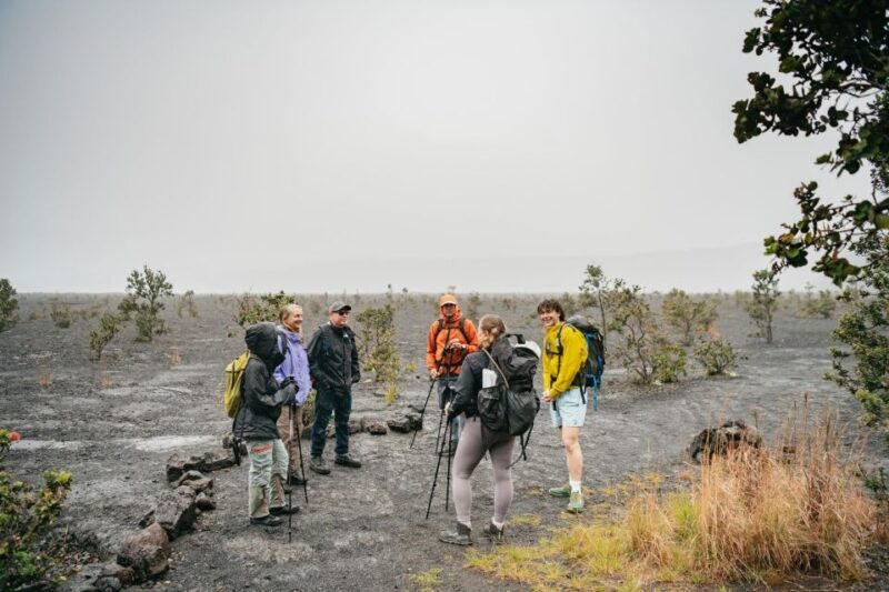 Big Island: Hawai'i Volcanoes National Park Guided Hike - Final Thoughts