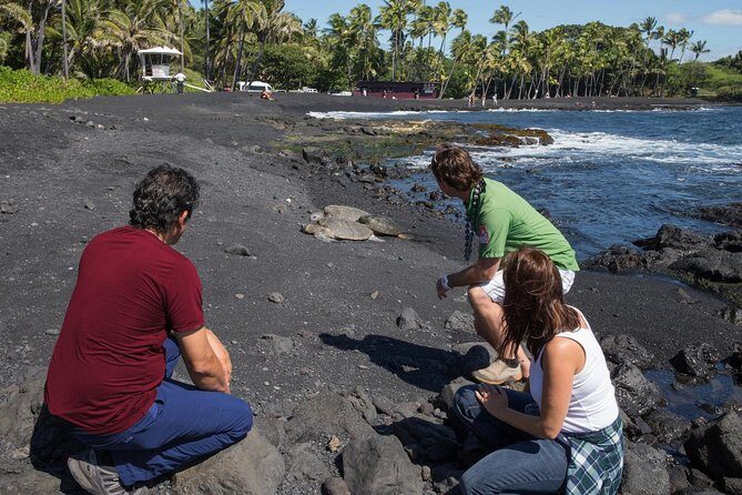 Big Island in a Day: Volcanoes Waterfalls Sightseeing and History - Who Would Love This Tour?