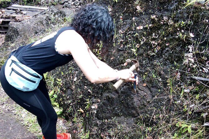 Big Island Jungle Tour with Banana and Guava Green Tea - Key Points