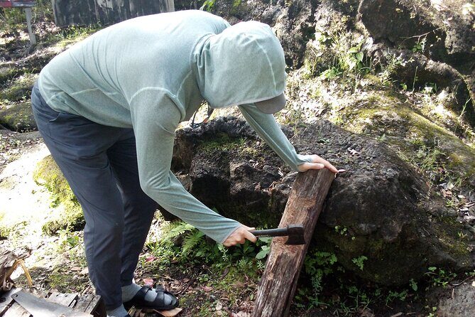 Big Island Jungle Tour with Banana and Guava Green Tea - Who Will Love This Tour?