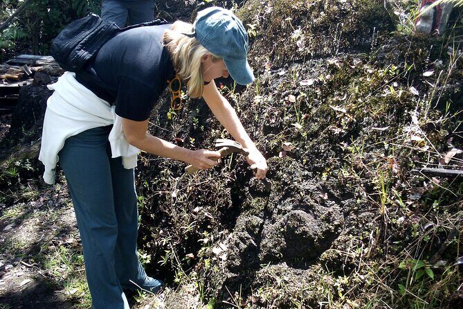 Big Island Jungle Tour with Banana and Guava Green Tea - The Sum Up