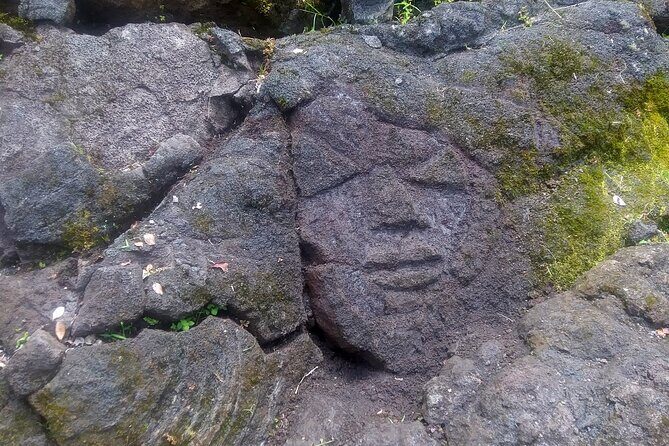 Big Island Jungle Tour with Banana and Guava Green Tea - FAQ