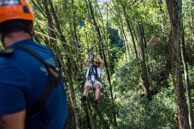 Big Island Kohala Canopy Zipline Adventure - The Experience in Detail