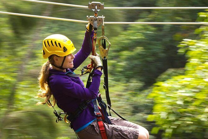 Big Island Kohala Zip and Dip Tour from Kona - The Downsides