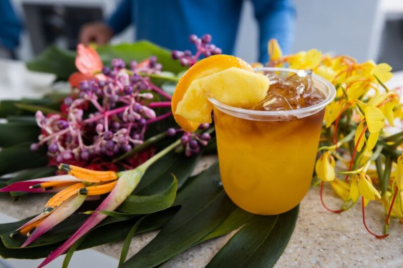 Big Island: Morning Snorkel Sail to Captain Cook's Monument - The Sum Up