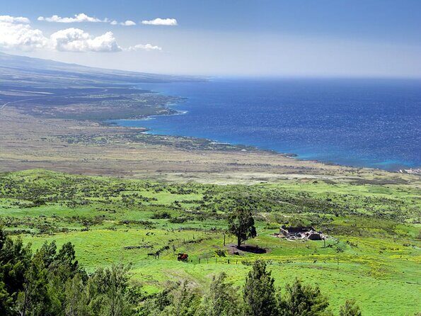 Big Island North Kohala Coast and Pololu Lookout Private Tour - Key Points