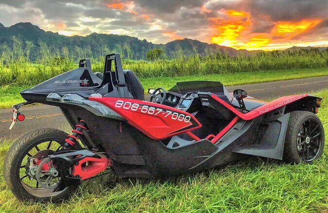 Big Island North Kohala Coast and Pololu Lookout Private Tour - What Travelers Are Saying