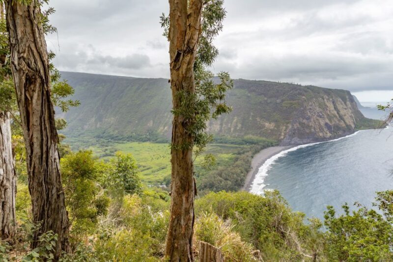 Big Island: Private Island Circle Tour with Lunch and Dinner - Key Points