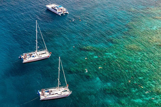 Big Island Snorkel Cruise from Waikoloa - Price and Value