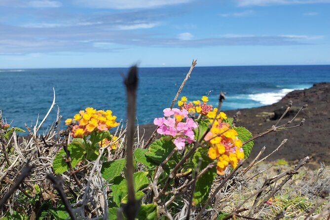 Big Island Southside ATV Tour - An In-Depth Look at the Tour Itinerary