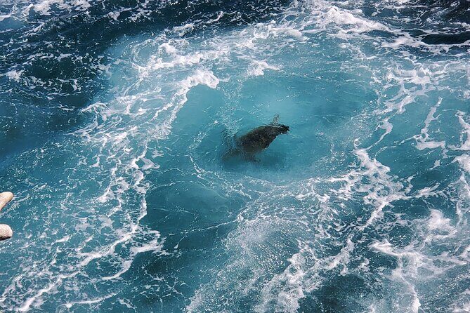 Big Island Southside ATV Tour - Frequently Asked Questions (FAQs)