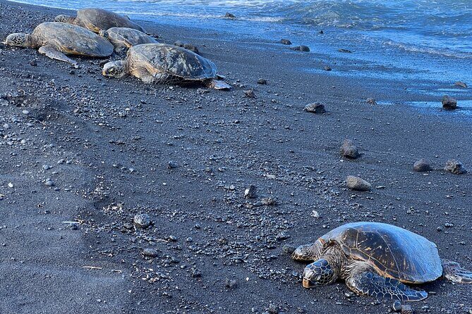 Big Island Tour of East to West - The Value of This Tour