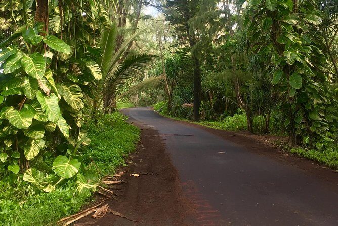 Big Island Volcano Adventure from Kona: Small Group - Who Will Love This Tour?