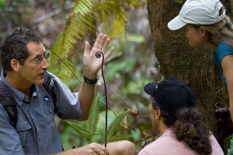 Big Island: Volcano, Chocolate & Waterfall Adventure - Final Thoughts