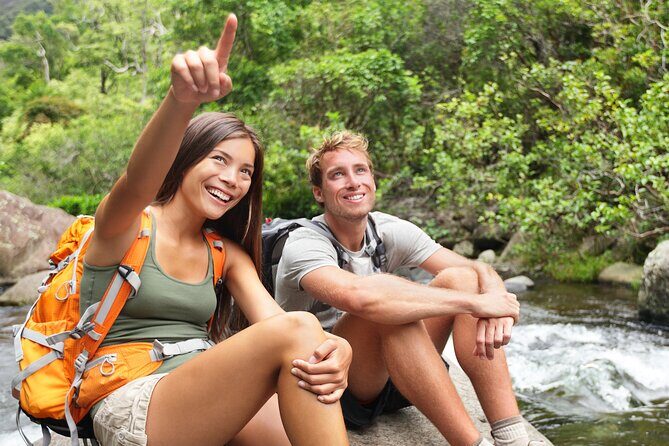 Big Island Waterfall Swim and Hike with Hilo Cruise Ship Pickup - Key Points