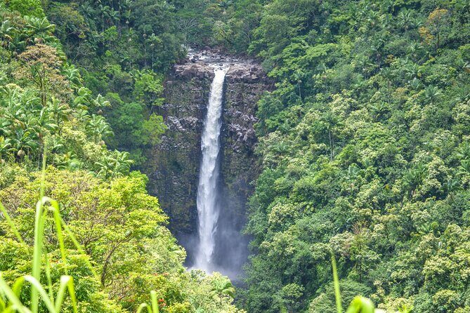 Big Island Waterfall Swim and Hike with Hilo Cruise Ship Pickup - The Bottom Line