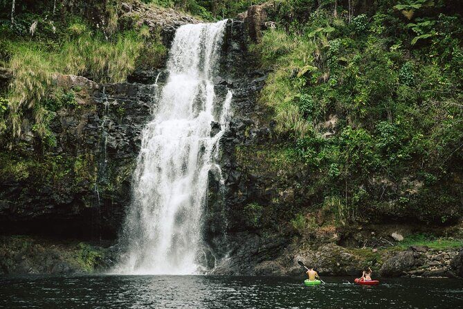 Big Island Waterfalls Tour with Swimming and Botanical Garden - Why You Might Love This Tour