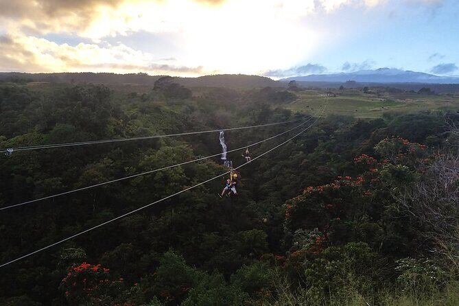 Big Island Zipline Adventure - Who Is This Tour Best For?