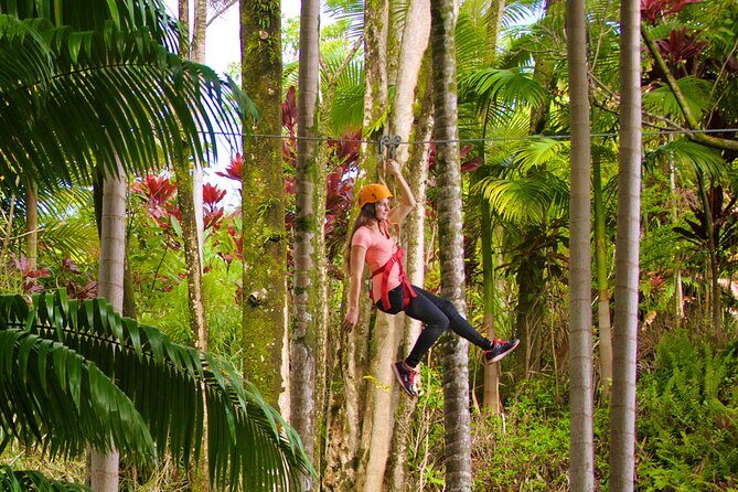 Big Island Zipline Adventure - FAQs