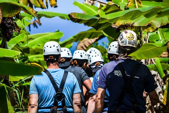 Big Island Zipline over KoleKole Falls - What to Expect from the Big Island Zipline Tour