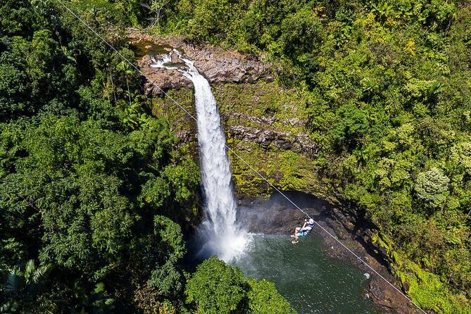 Big Island Zipline over KoleKole Falls w/ Hilo Cruise Ship Pickup - Who Should Consider This Tour?