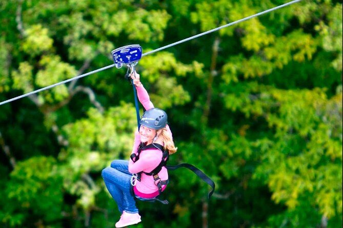 Big Island Zipline over KoleKole Falls w/ Hilo Cruise Ship Pickup - Value and Overall Impression