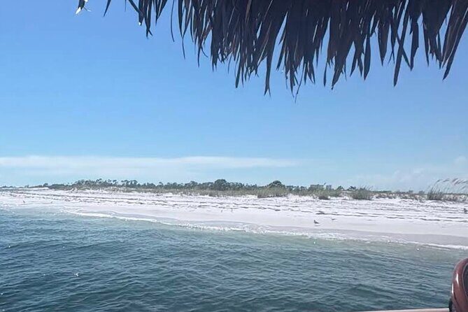 Big Kahuna Sunset Dolphin Cruise Experience - FAQ