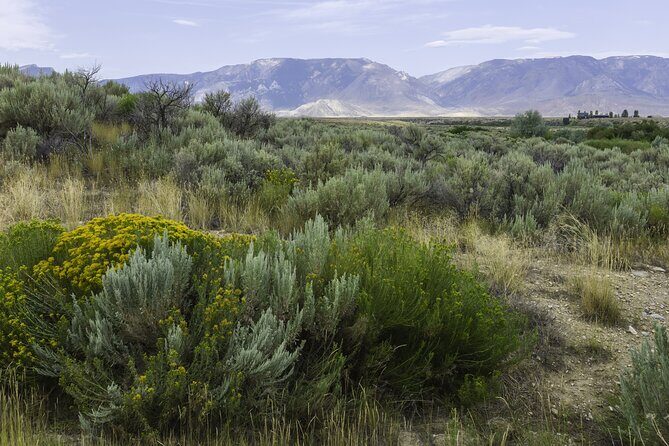 Big Sky Drive Self Guided Driving Audio Tour - Starting Off: West Yellowstone Visitor Center