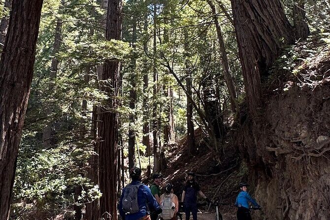 Big Sur Electric Bike Tour Along Old Coast Road - FAQ