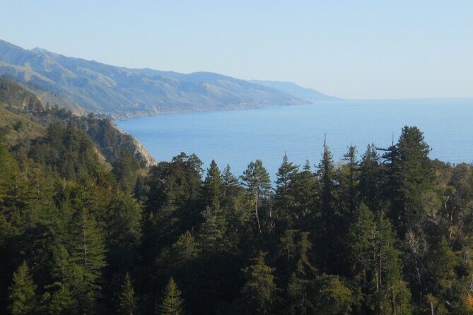 Big Sur Sightseeing Tour - An In-Depth Look at the Big Sur Sightseeing Tour
