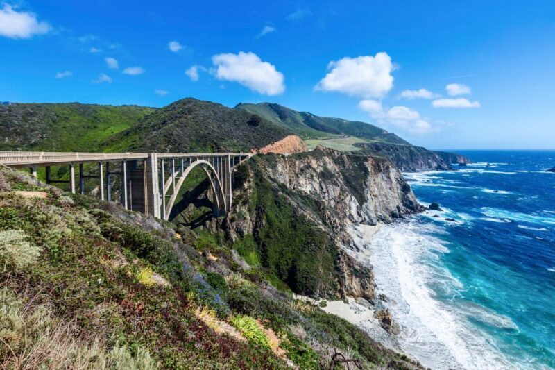 Big Sur: Sightseeing Tour with 4 to 5 Stops - Who Should Consider This Tour?