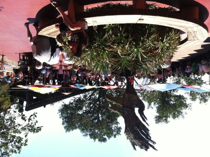 Big Sur: Sightseeing Tour with 4 to 5 Stops - FAQ